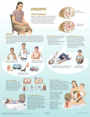 Cover image for Epilepsy Chart (Netter Charts)