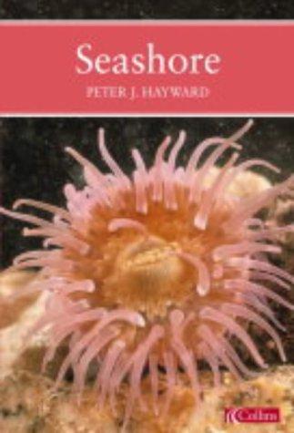 Cover image for Seashore (Collins New Naturalist)