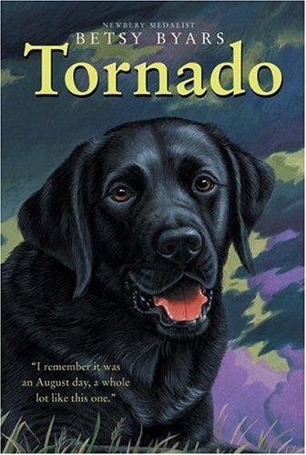 Cover image for Tornado (Trophy Chapter Book)