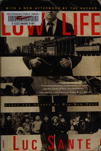 Cover image for Low Life: Lures and Snares of Old New York