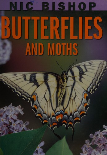 Cover image for Nic Bishop butterflies and moths