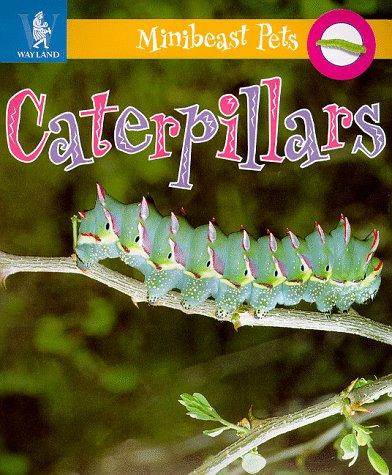 Cover image for Caterpillars (Minibeast Pets)
