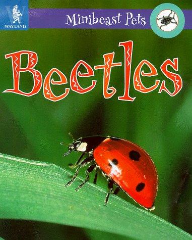 Cover image for Beetles (Minibeast Pets)