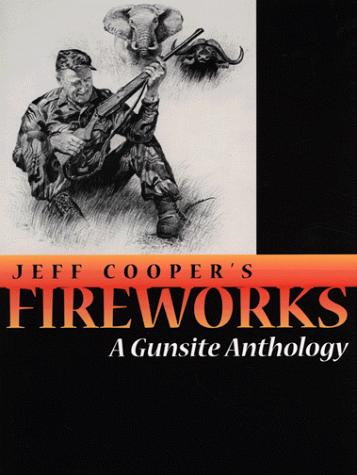 Cover image for Fireworks