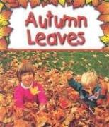 Cover image for Autumn Leaves
