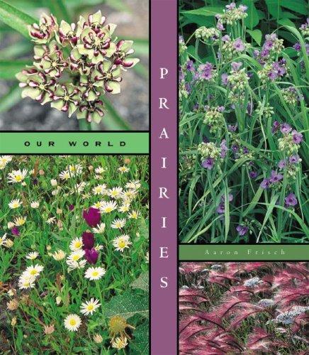 Cover image for Prairies (Our World)