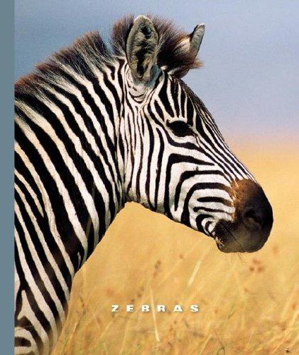 Cover image for Zebras (World of Mammals)