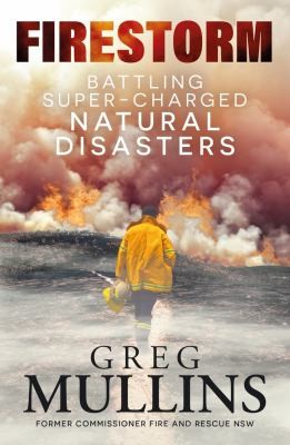 Cover image for Firestorm